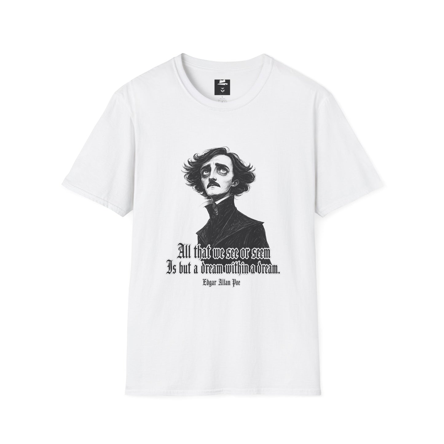 Poe Dream Within a Dream Gothic Literature