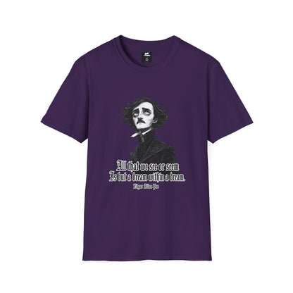 Poe Dream Within a Dream Gothic Literature